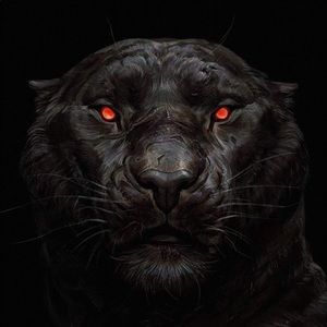 Meet your Posher, Caleb